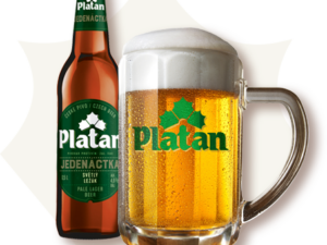 Platan 11